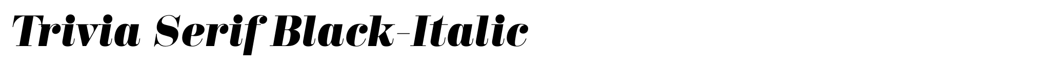 Trivia Serif Black-Italic image